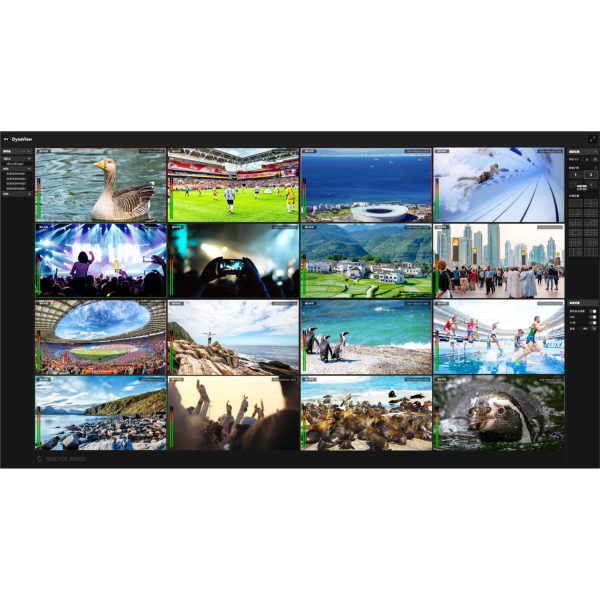 Science Image DynaView Pro interface Science Image Dyna View Pro NDI - Image 1