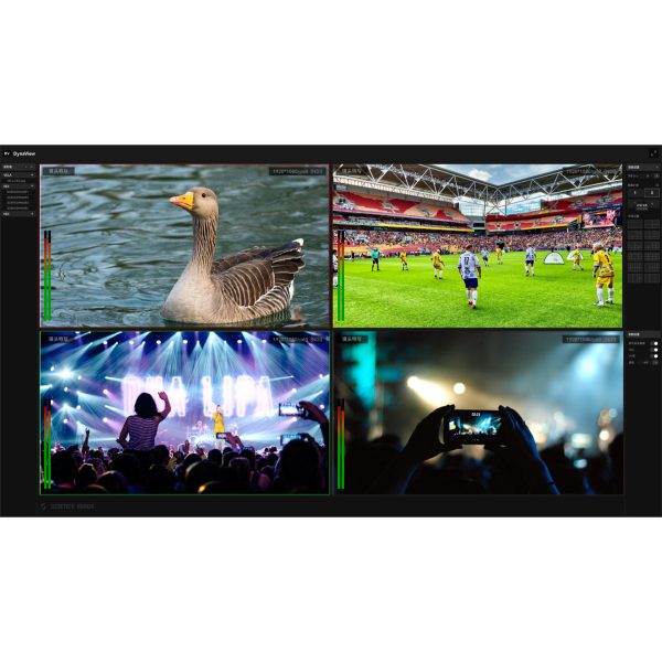 Science Image DynaView interface Science Image Dyna View NDI - Image 1